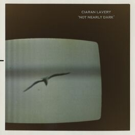 Album cover of Not Nearly Dark