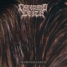 Album cover of Vitrified Earth
