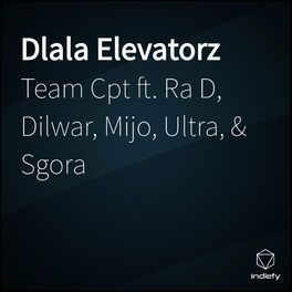 Album cover of Dlala Elevatorz