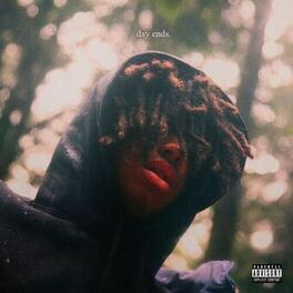 Album cover of Day Ends