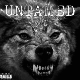 Album cover of Untamed (feat. Ra Gunz)