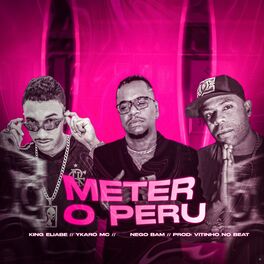 Album cover of Meter o Peru (Brega Funk)