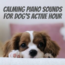 Album cover of Calming Piano Sounds for Dog's Active Hour