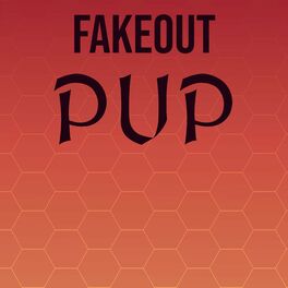 Album cover of Fakeout Pup