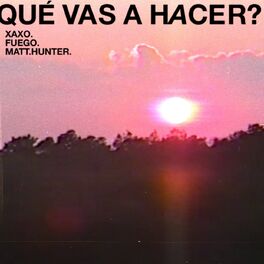 Album cover of Qué Vas A Hacer?