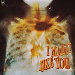 Album cover of I Might Like You