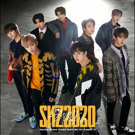 Album cover of SKZ2020