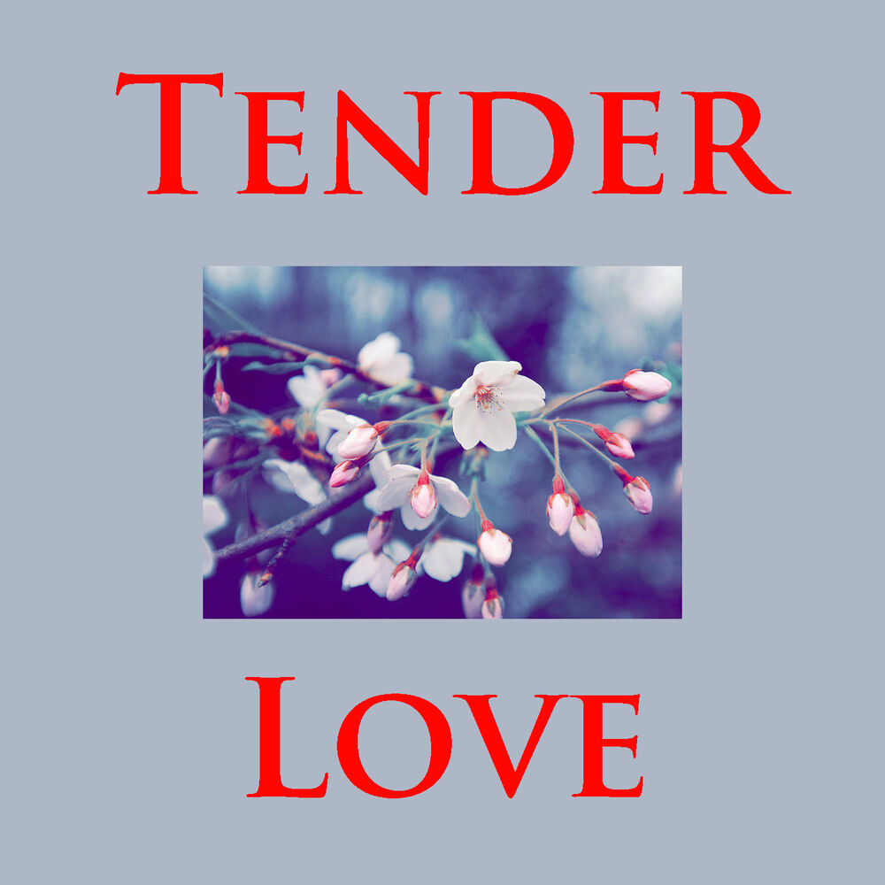 Tender love