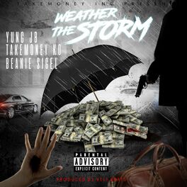 Album cover of Weather the Storm