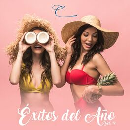 Album cover of Éxitos del Año, Vol. 17
