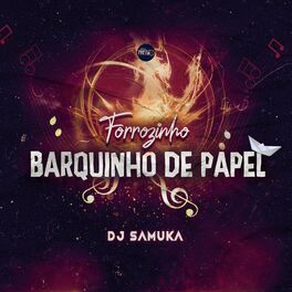 Album cover of Forrozinho Barquinho de Papel