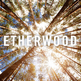 Album cover of Etherwood