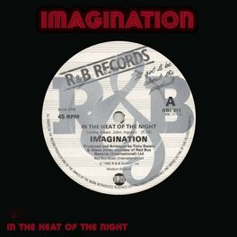 Album cover of In The Heat Of The Night