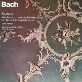 Album cover of Bach: 
