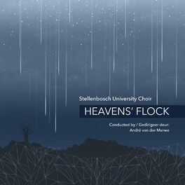 Album cover of Heavens' flock