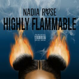 Album cover of Highly Flammable