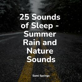Album cover of 25 Sounds of Sleep - Summer Rain and Nature Sounds