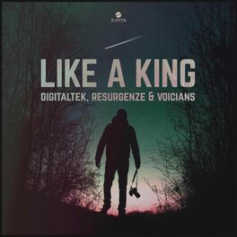 Album cover of Like A King