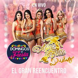 Album cover of El Gran Reencuentro, Domingos de Fiesta (En Vivo)