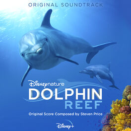 Album cover of Dolphin Reef (Original Soundtrack)