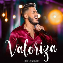 Album cover of Valoriza