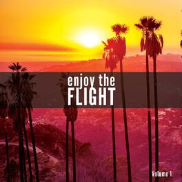 Album cover of Enjoy The Flight, Vol. 1 (A Smooth Airplane Music Journey)