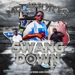 Album cover of SWANG DOWN (feat. LIL KEKE & CHALIE BOY) [EXTENDED]