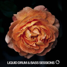 Album cover of Liquid Drum & Bass Sessions 2019 Vol 4