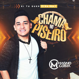 Album cover of Chama no Piseiro