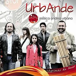 Album cover of Lágrimas de Amor (Musica Andina Urbana)