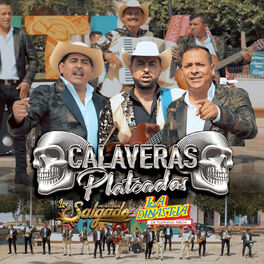 Album picture of Calaveras Plateadas