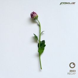 Album cover of Fokuz Recap 2023
