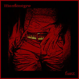Album cover of Fuzz