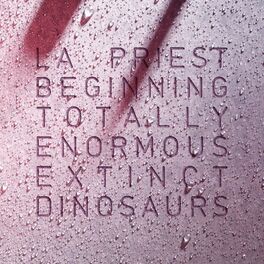 Album cover of Beginning (Totally Enormous Extinct Dinosaurs Remix)