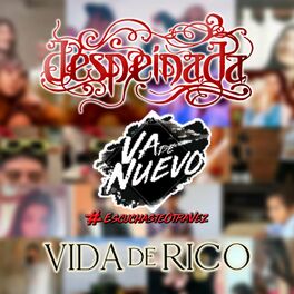 Album cover of Despeinada, vida de rico (feat. amigos)