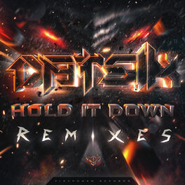 Album cover of Hold It Down Remixes