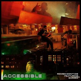 Album cover of ACCESSIBLE