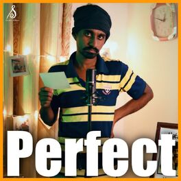 Album cover of Perfect