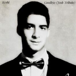 Album cover of Goodbye (Josh Tribute) - Single