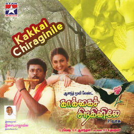 Album cover of Kakkai Chiraginile (Original Motion Picture Soundtrack)