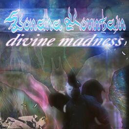 Album cover of Divine Madness