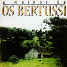 Album cover of O Melhor de Os Bertussi