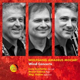 Album cover of Wolfgang Amadeus Mozart: Wind Concerts