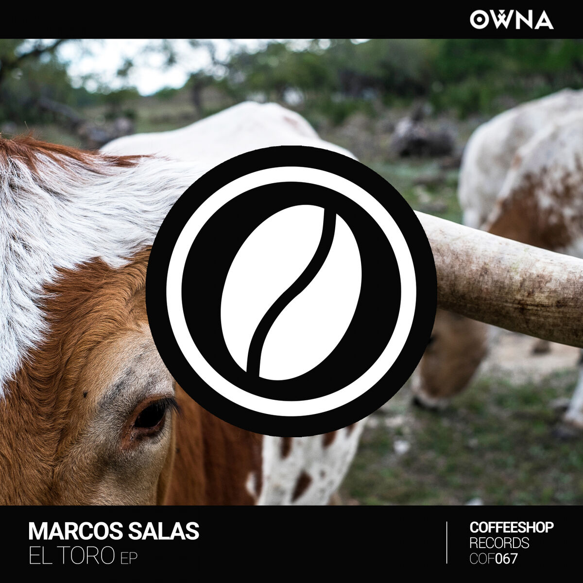 Marcos Salas - Nopor (Original Mix): listen with lyrics | Deezer