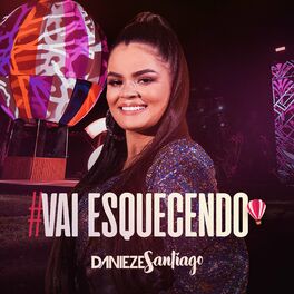 Album cover of Vai Esquecendo