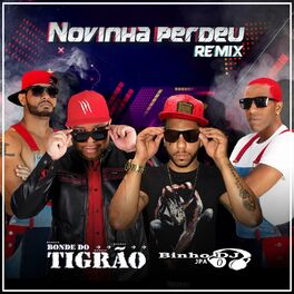 Album cover of Novinha Perdeu (Remix)