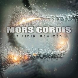 Album cover of T.I.L.I.D.I.N. Remixes