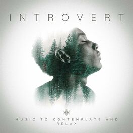 Album cover of Introvert - music to contemplate and relax