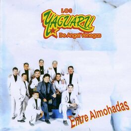 Album cover of Los Yaguaru