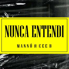 Album cover of Nunca Entendi